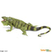 Toy Iguana Figurine by Safari Ltd.:Jungle Bob's Reptile World