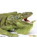 Toy Iguana Figurine by Safari Ltd.:Jungle Bob's Reptile World