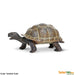 Toy Tortoise Baby Figurine by Safari Ltd.:Jungle Bob's Reptile World