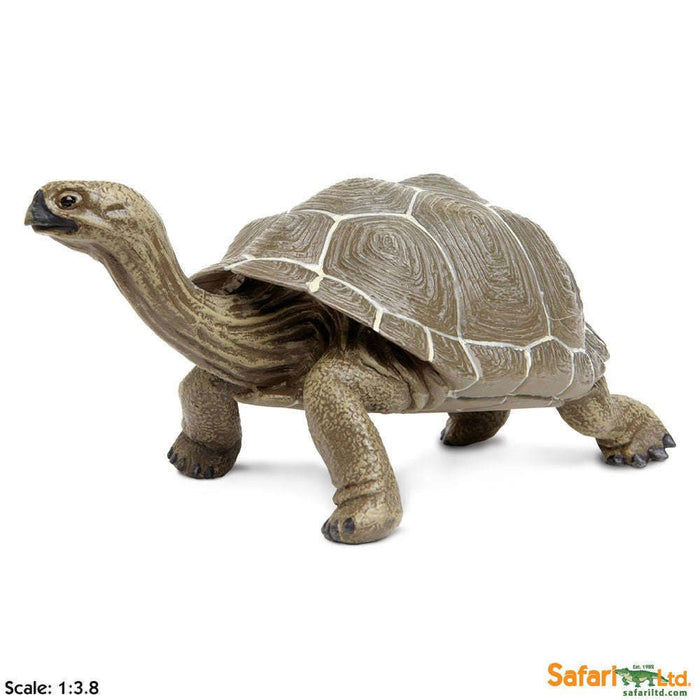 Toy Tortoise Figurine by Safari Ltd.:Jungle Bob's Reptile World