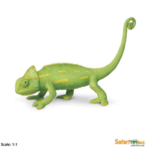 Toy Veiled Chameleon Baby Figurine by Safari Ltd.:Jungle Bob's Reptile World