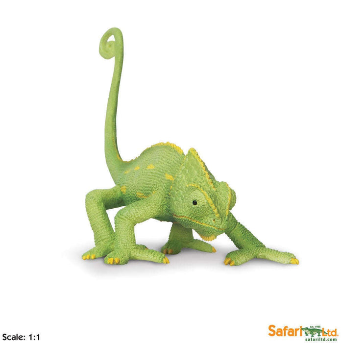 Toy Veiled Chameleon Baby Figurine by Safari Ltd.:Jungle Bob's Reptile World