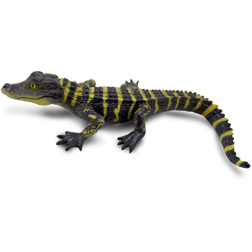 Toy Baby Alligator Figurine by Safari Ltd.:Jungle Bob's Reptile World