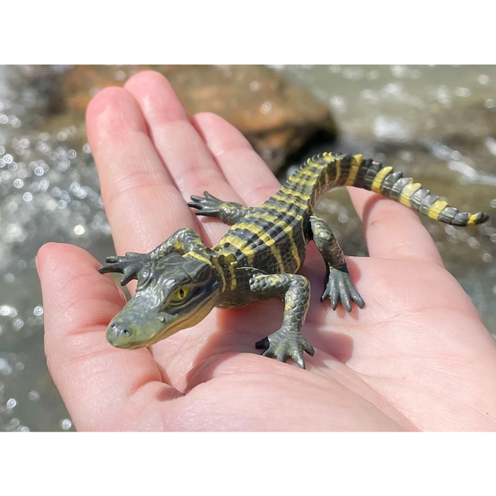 Toy Baby Alligator Figurine by Safari Ltd.:Jungle Bob's Reptile World