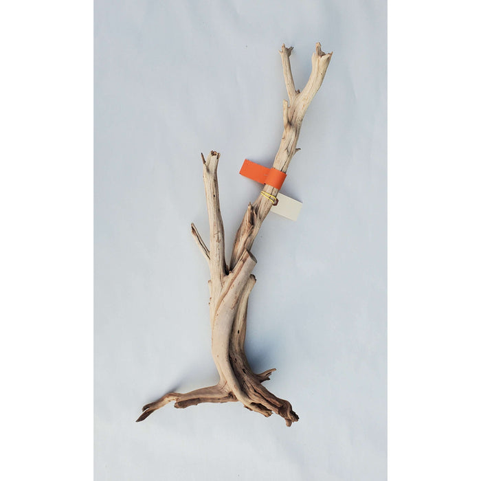 Sandblasted Ghost Wood LG 24"(Orange Tag) IN STORE PICK UP ONLY!:Jungle Bob's Reptile World