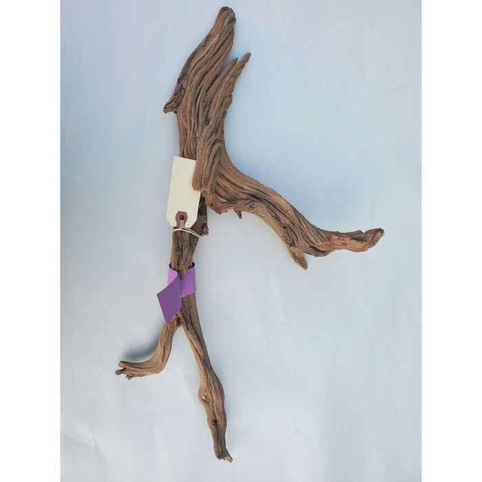Sandblasted Ghost Wood Med 18"(Purple Tag):Jungle Bob's Reptile World