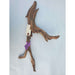 Sandblasted Ghost Wood Med 18"(Purple Tag):Jungle Bob's Reptile World