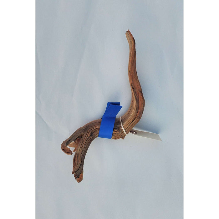 Sandblasted Ghost Wood SM 12"(Blue Tag):Jungle Bob's Reptile World