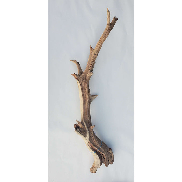 Sandblasted Ghost Wood XL 32" IN STORE PICK UP ONLY!:Jungle Bob's Reptile World
