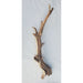Sandblasted Ghost Wood XL 32" IN STORE PICK UP ONLY!:Jungle Bob's Reptile World