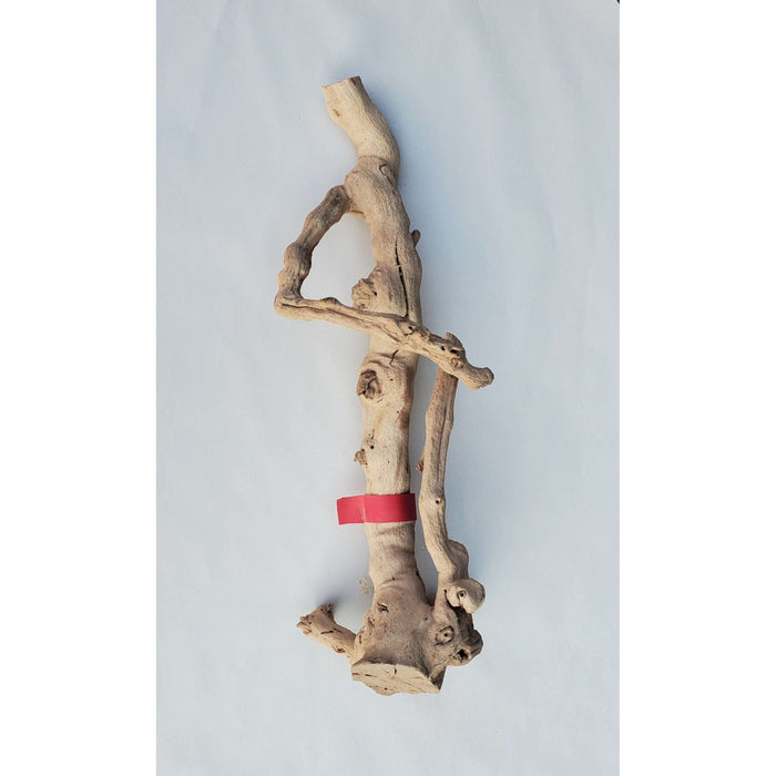 Sandblasted Grapevine LG 24"(Red Tag) STORE PICK UP ONLY!:Jungle Bob's Reptile World