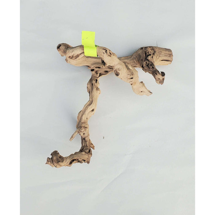 Sandblasted Grapevine Med 18" (Lime Green Tag):Jungle Bob's Reptile World