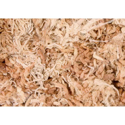 Sphagnum Moss Small by Jungle Bob Bag .4oz