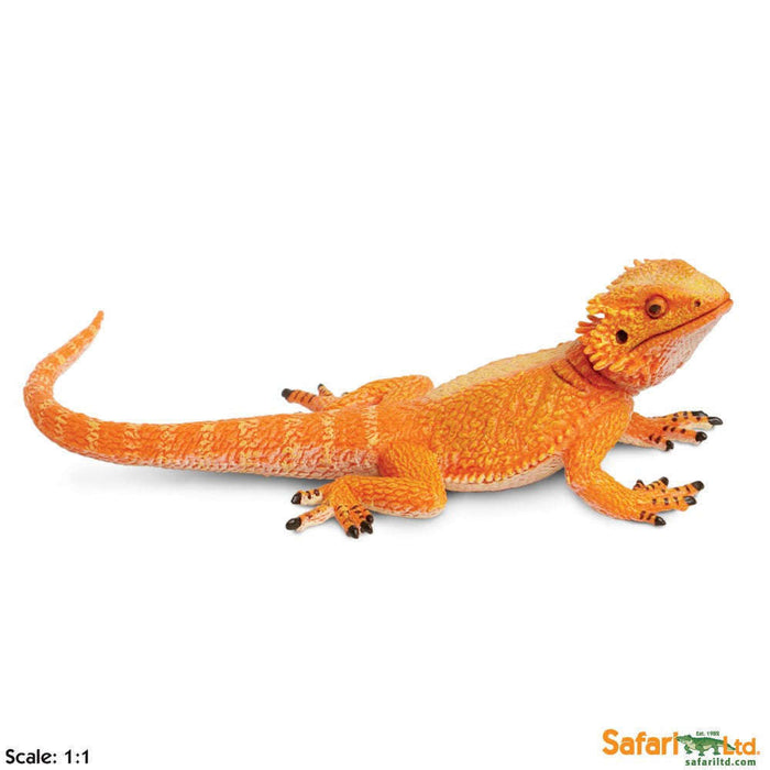 Toy Bearded Dragon by Safari Ltd.:Jungle Bob's Reptile World