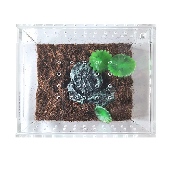 YKL 09 Herp Cult Acrylic Terrarium Enclosure with Magnetic Lid for Reptiles Mini Flat (4.3in x 3.4in x 2.8in):Jungle Bob's Reptile World