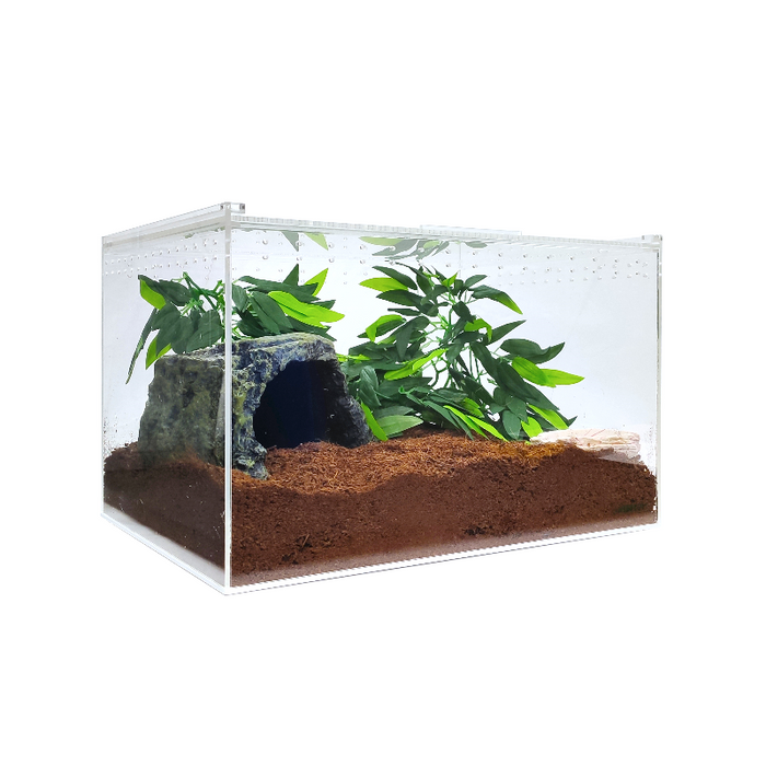 YKL 50B Herp Cult Acrylic Enclosure XLarge Clear Top (12" x16in. x10in.):Jungle Bob's Reptile World