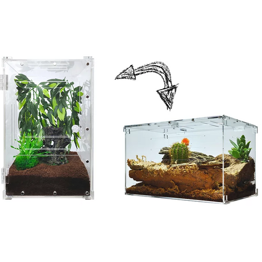 YKL80A Herp Cult Acrylic Enclosure Solid Top  Two-Way Large 10"x10"x16" 7 Gallon: Jungle Bob's Reptile World