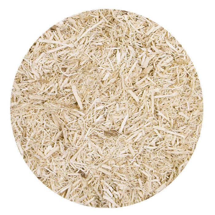 Zoo Med Aspen Bedding 8qt:Jungle Bob's Reptile World