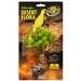 Zoo Med Desert Flora Tree Houseleek:Jungle Bob's Reptile World