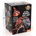 Zoo Med Infrared Heat Spot Lamp for Night time Reptile Heat:Jungle Bob's Reptile World